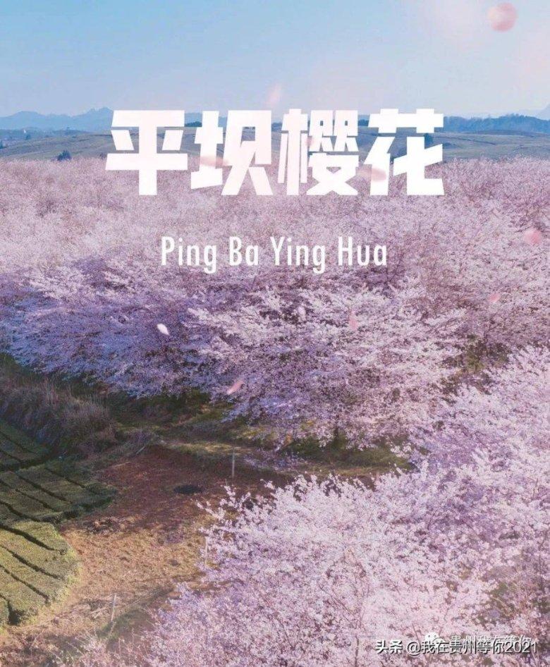 环保降尘雾炮机具有什么优势？
